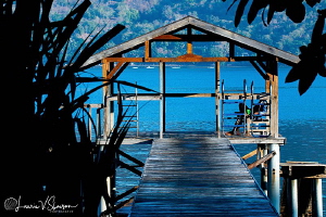 Waiting for the Dive Boat/Photographed at Alami Alor Reso... by Laurie Slawson 